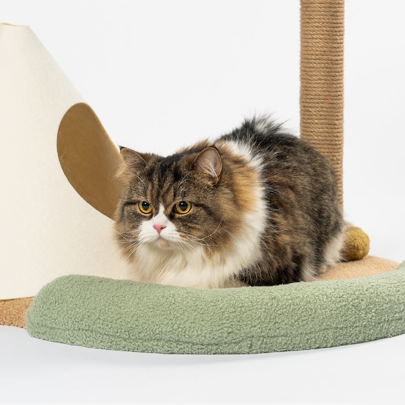 Distributor for Petkit, Catlink and Pidan - Petland Company Limited PIDAN CAT TREE - CAT ISLAND PIDAN CAT