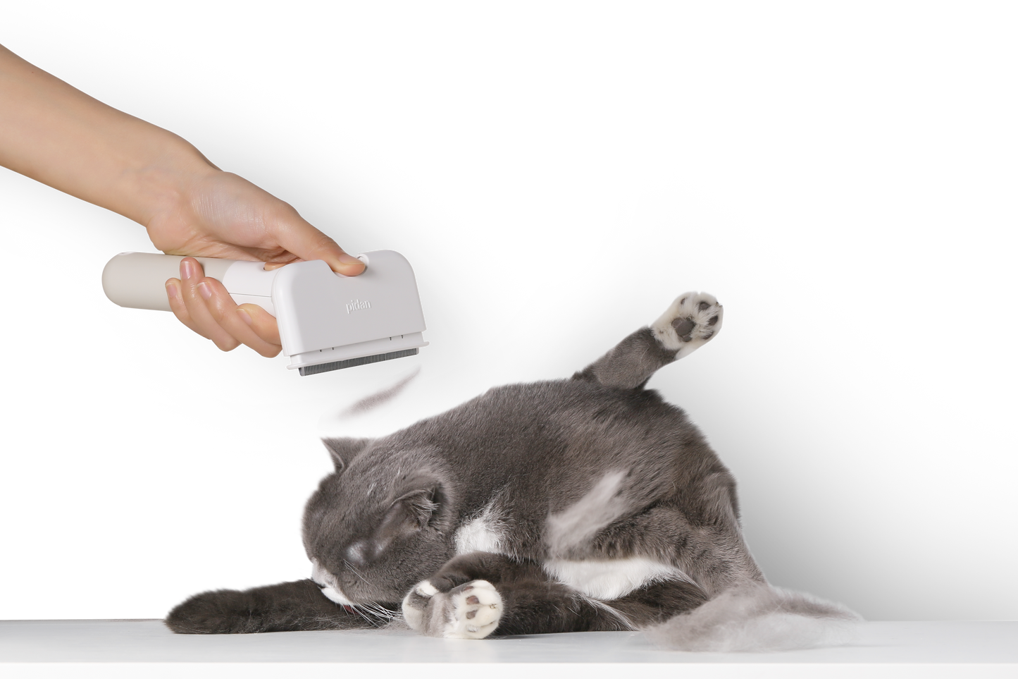 Distributor for Petkit, Catlink and Pidan - Petland Company Limited PIDAN PET DESHEDDING TOOL FOR SHORT HAIR PETS PIDAN CAT DOG pidan_featured