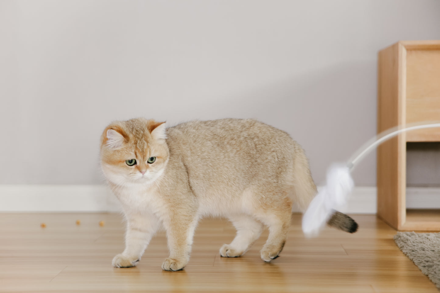 Distributor for Petkit, Catlink and Pidan - Petland Company Limited PIDAN GREY EXTENDED TEASER - FLEXIBLE CAT PLAY WAND WITH NATURAL FEATHERS PIDAN CAT