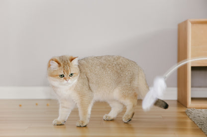 Distributor for Petkit, Catlink and Pidan - Petland Company Limited PIDAN GREY EXTENDED TEASER - FLEXIBLE CAT PLAY WAND WITH NATURAL FEATHERS PIDAN CAT