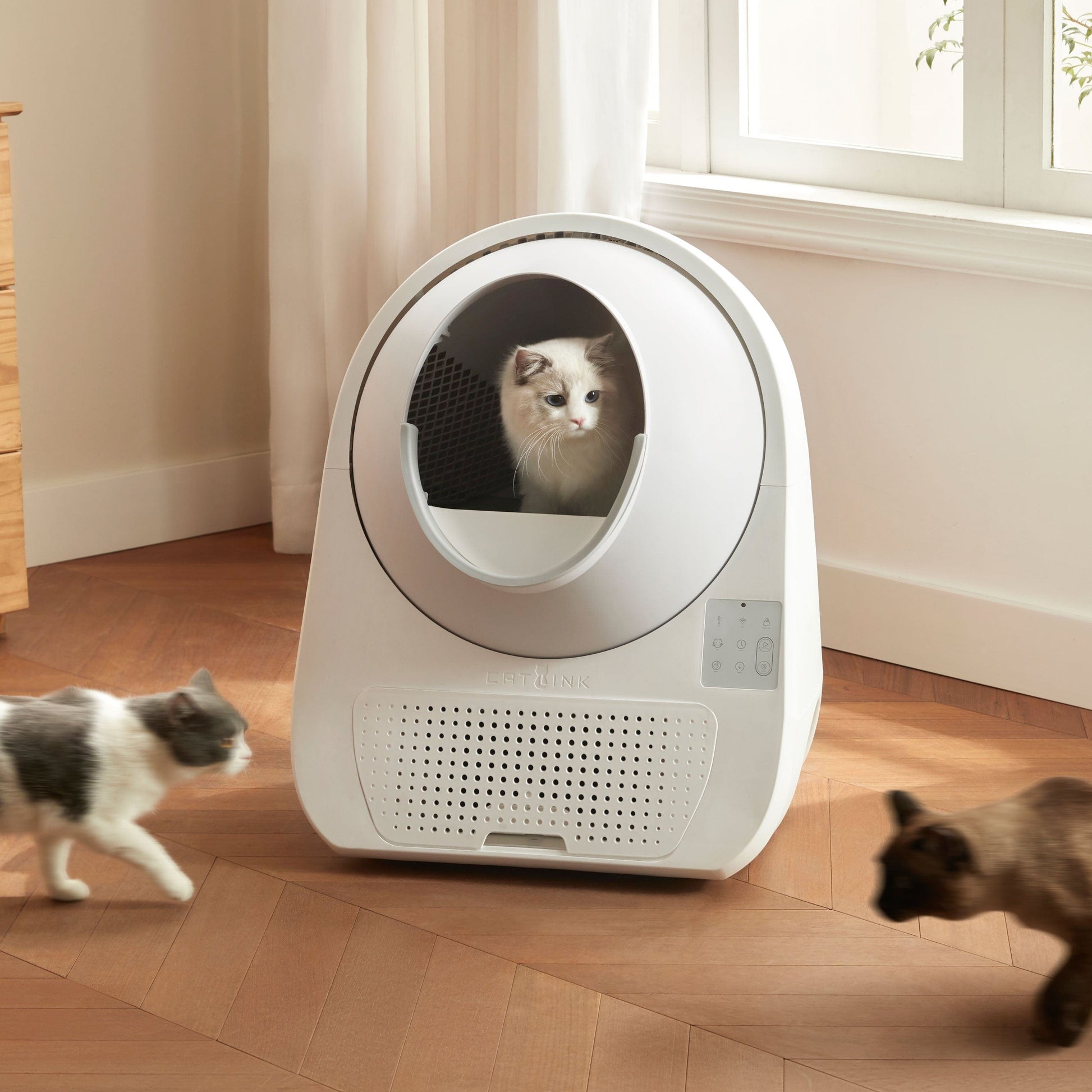 Distributor for Petkit, Catlink and Pidan - Petland Company Limited Catlink Scooper Luxury Pro CATLINK automatic litter box automatic litter robot litter box litter robot self cleaning litter box self cleaning litter robot