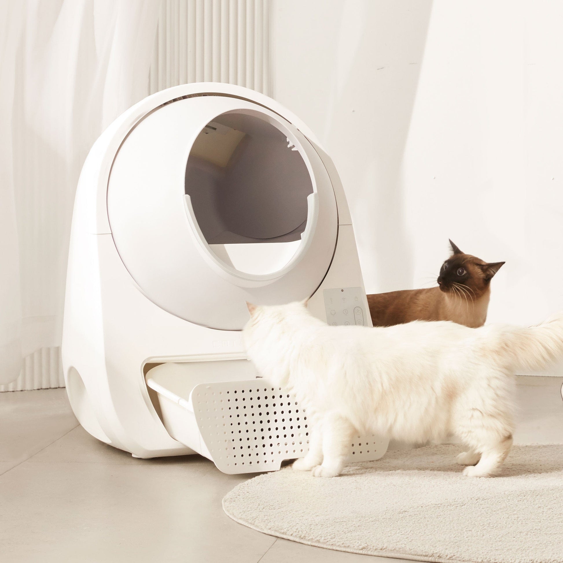 CATLINK Scooper Luxury Pro and Ramp Bundle Premium Automatic Self-Cleaning Cat Litter Robot