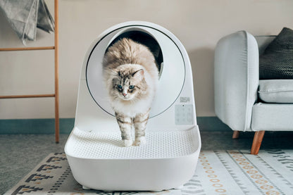 Distributor for Petkit, Catlink and Pidan - Petland Company Limited Ramp for CATLINK Scooper Luxury Pro / Young in White CATLINK automatic litter box automatic litter robot litter box litter robot self cleaning litter box
