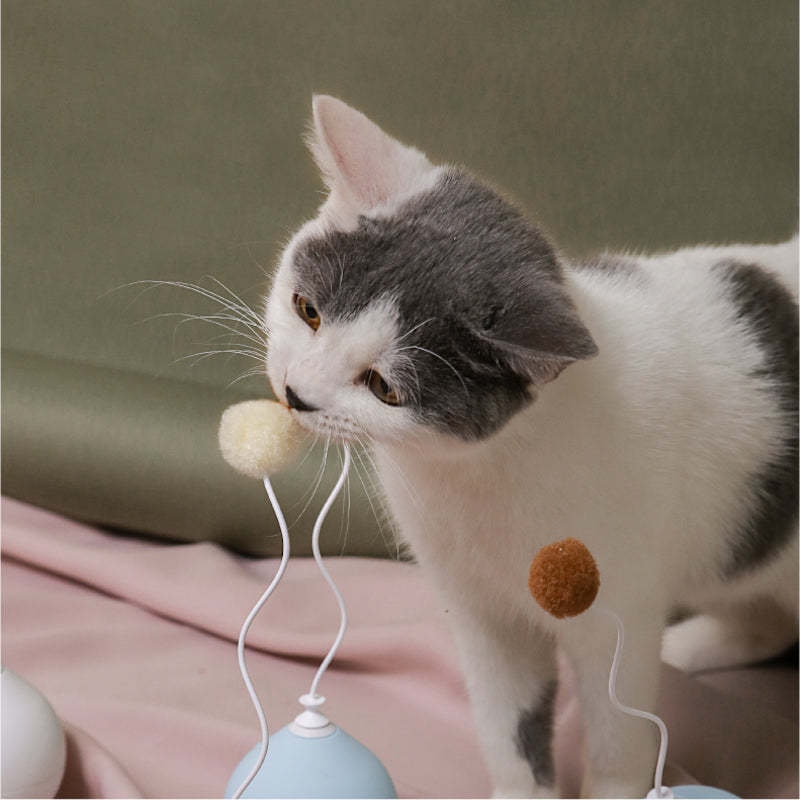 Distributor for Petkit, Catlink and Pidan - Petland Company Limited PIDAN BALLOON CAT TOY PIDAN CAT pidan_featured
