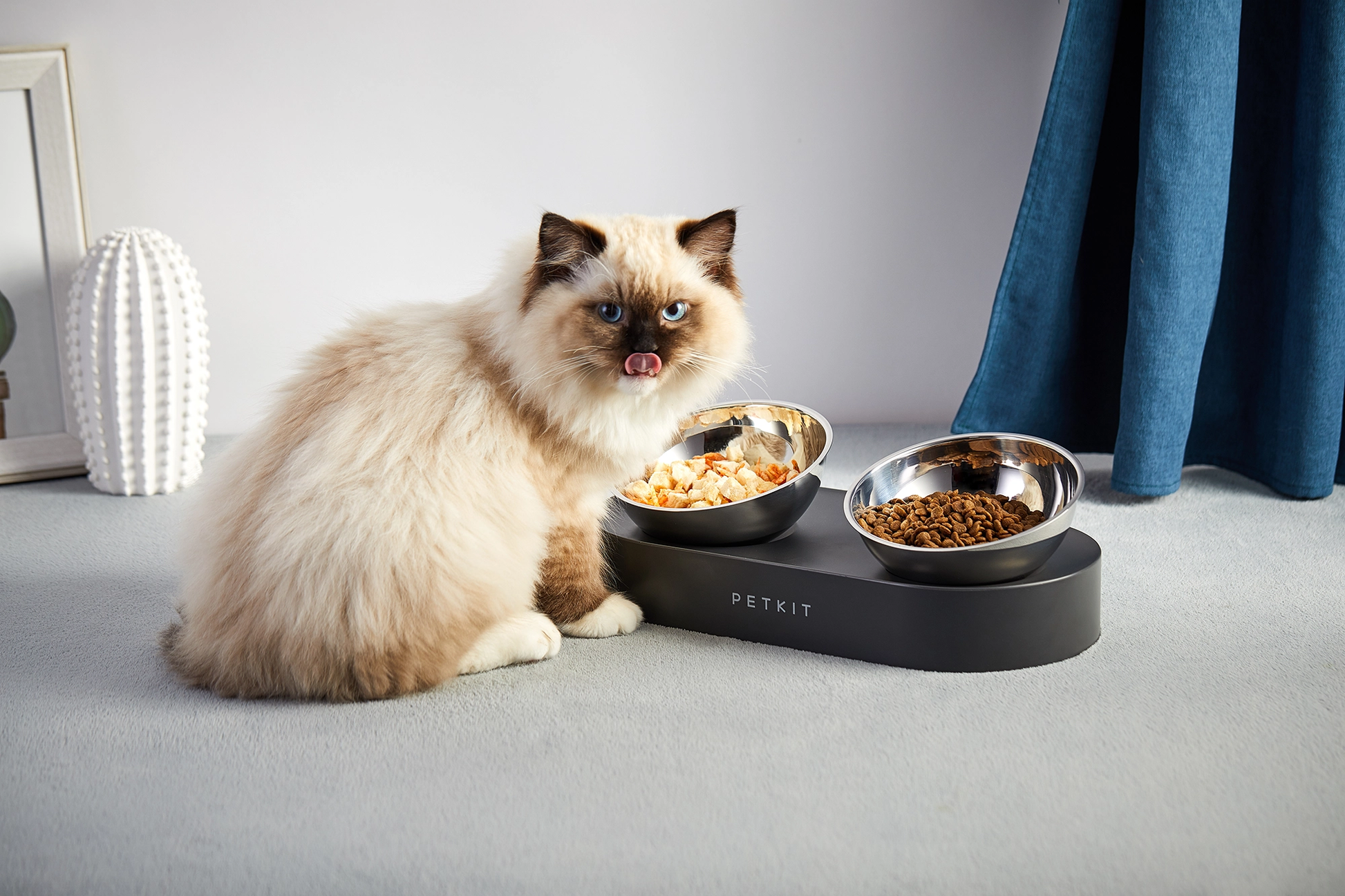 Distributor for Petkit, Catlink and Pidan - Petland Company Limited PETKIT FRESH NANO- 15° ADJUSTABLE FEEDING METAL DUAL BOWL PETKIT CAT DOG