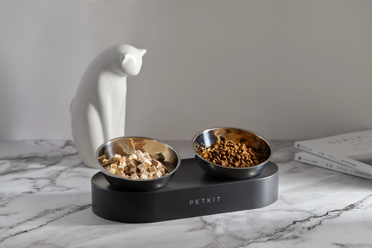 Distributor for Petkit, Catlink and Pidan - Petland Company Limited PETKIT FRESH NANO- 15° ADJUSTABLE FEEDING METAL DUAL BOWL PETKIT CAT DOG