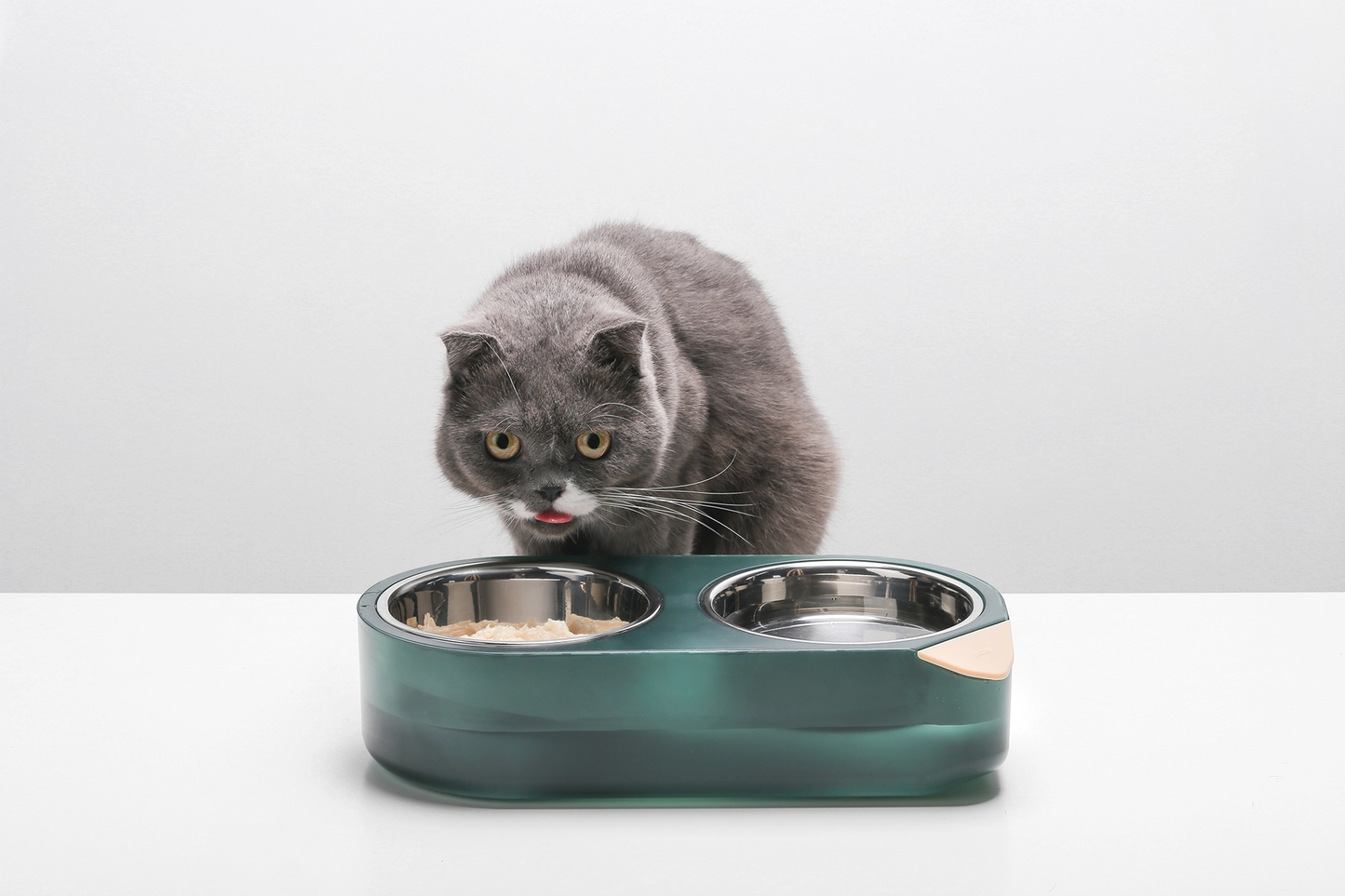 Distributor for Petkit, Catlink and Pidan - Petland Company Limited PIDAN 'WATER SECRET' PET FEEDING DUAL BOWL PIDAN CAT DOG pidan_featured