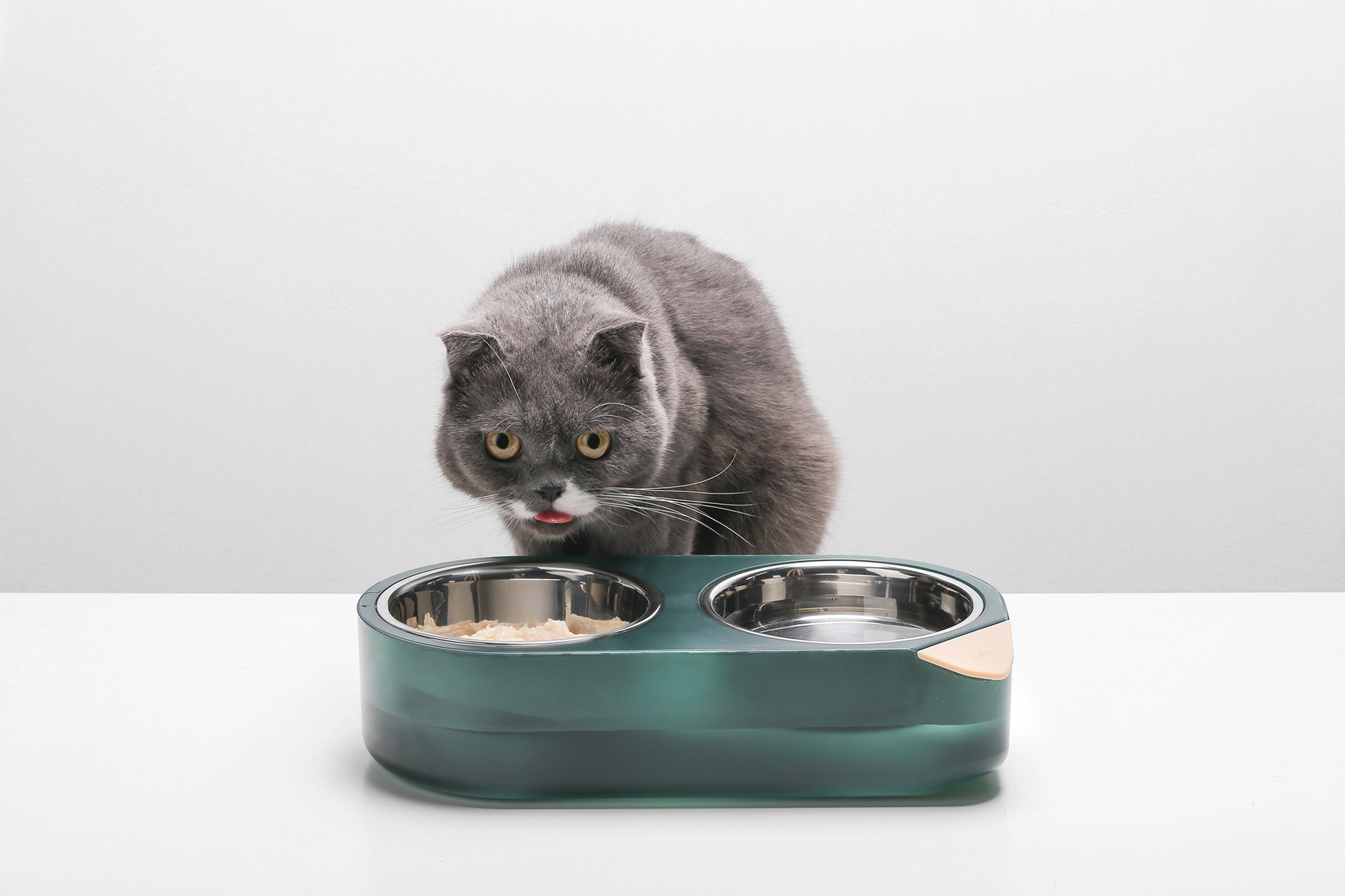 Pidan cat bowl sale