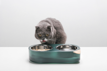 Distributor for Petkit, Catlink and Pidan - Petland Company Limited PIDAN 'WATER SECRET' PET FEEDING DUAL BOWL PIDAN CAT DOG pidan_featured
