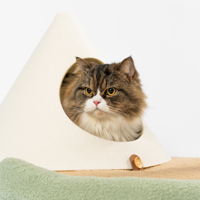 Distributor for Petkit, Catlink and Pidan - Petland Company Limited PIDAN CAT TREE -  CAT ISLAND PIDAN CAT