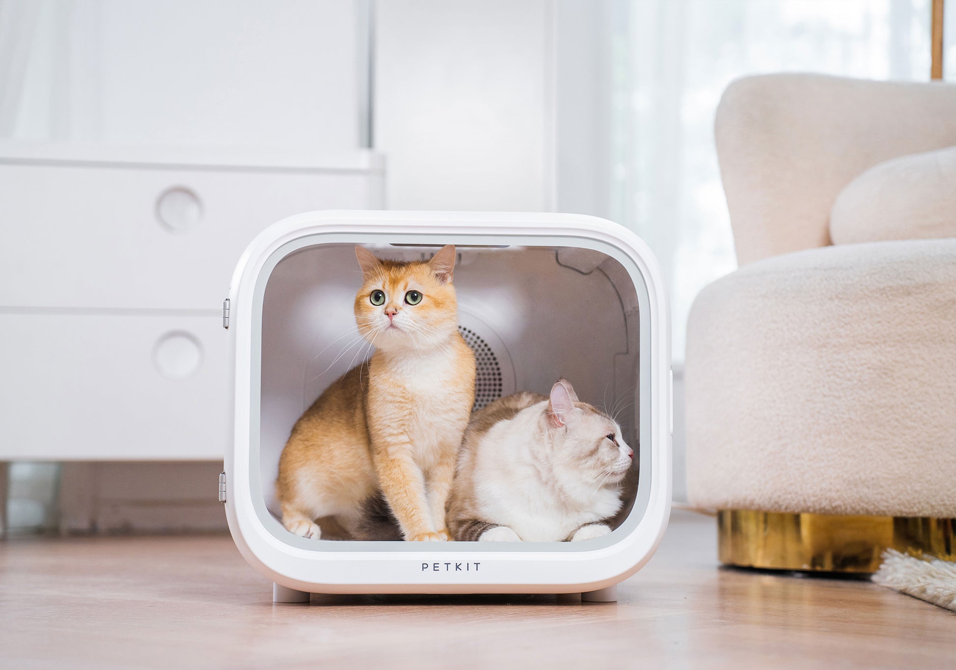 Distributor for Petkit, Catlink and Pidan - Petland Company Limited PETKIT SMART PET DRYING CABIN - AIRSALON MAX PETKIT CAT DOG