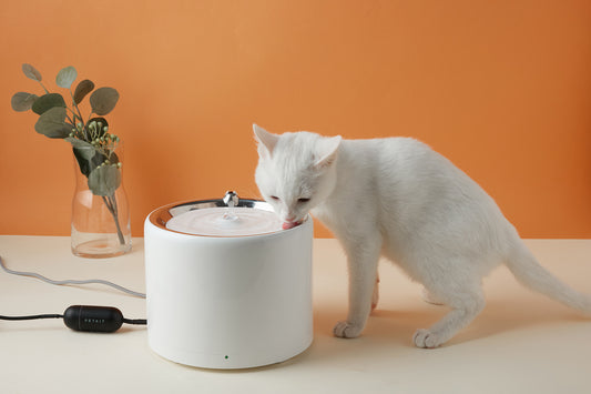 Distributor for Petkit, Catlink and Pidan - Petland Company Limited PETKIT SMART WATER FOUNTAIN - EVERSWEET 3 PRO 1.8L (WIRELESS PUMP) PETKIT CAT DOG