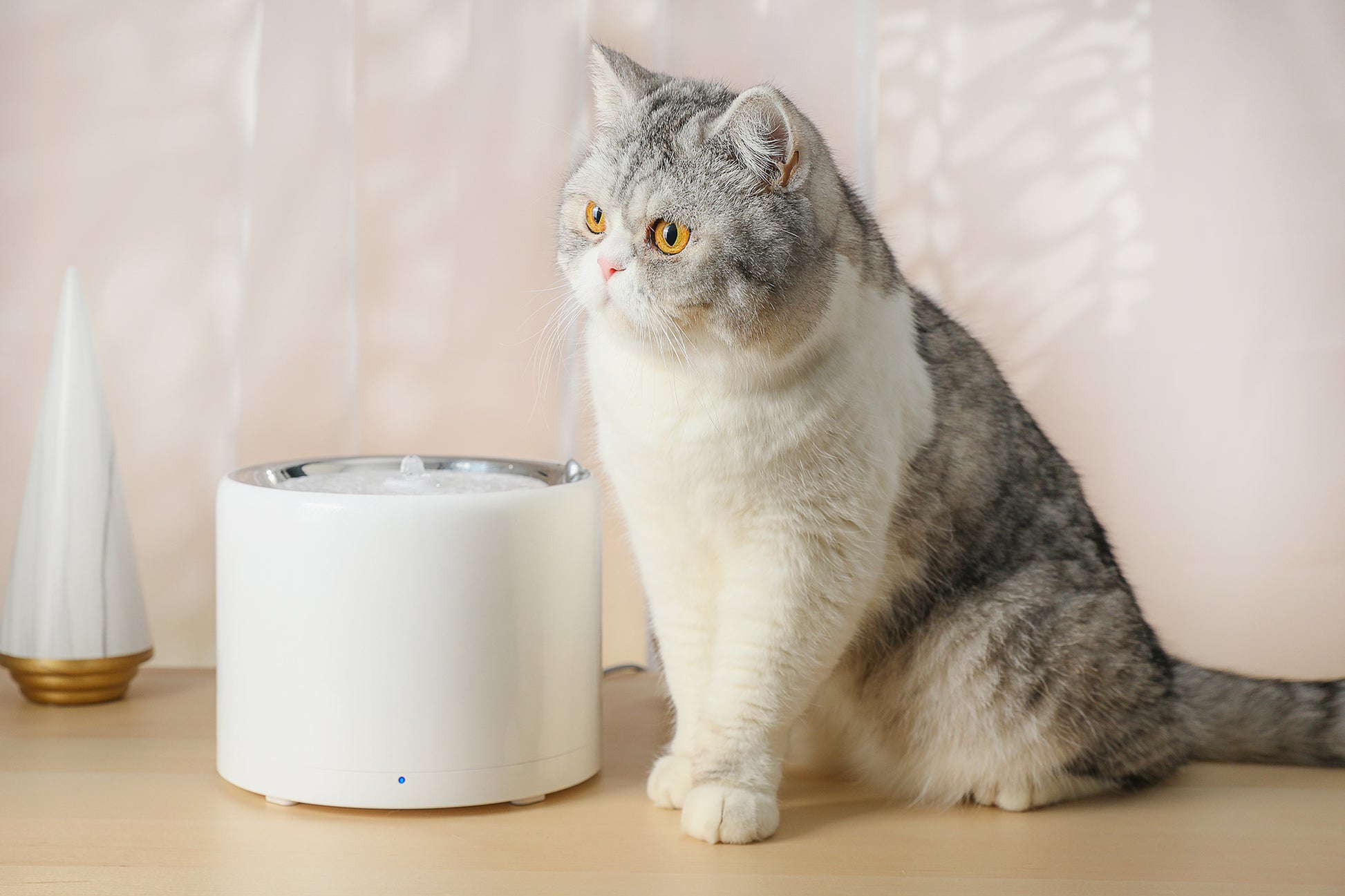 Distributor for Petkit, Catlink and Pidan - Petland Company Limited PETKIT SMART WATER FOUNTAIN - EVERSWEET 3 PRO 1.8L (WIRELESS PUMP) PETKIT CAT DOG