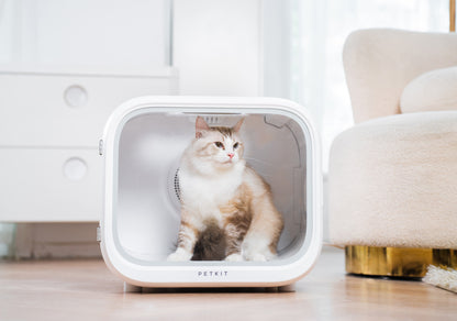 Distributor for Petkit, Catlink and Pidan - Petland Company Limited PETKIT SMART PET DRYING CABIN - AIRSALON MAX PETKIT CAT DOG