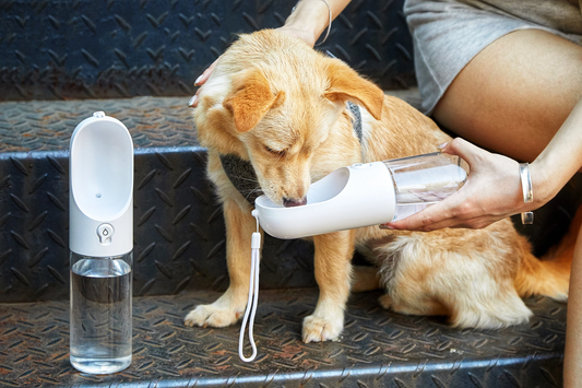 Distributor for Petkit, Catlink and Pidan - Petland Company Limited PETKIT EVERSWEET PET TRAVEL WATER BOTTLE 400ML PETKIT CAT DOG