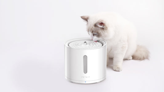 Distributor for Petkit, Catlink and Pidan - Petland Company Limited PETKIT SMART WATER FOUNTAIN - EVERSWEET SOLO2 2L (WIRELESS PUMP) PETKIT CAT DOG